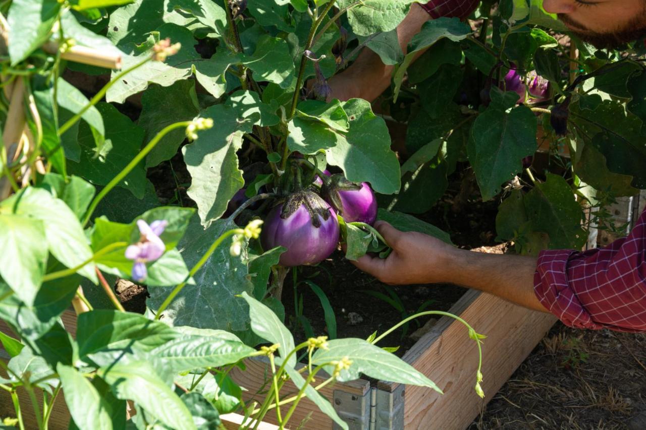 סוברטו Agriturismo Colle Vento מראה חיצוני תמונה