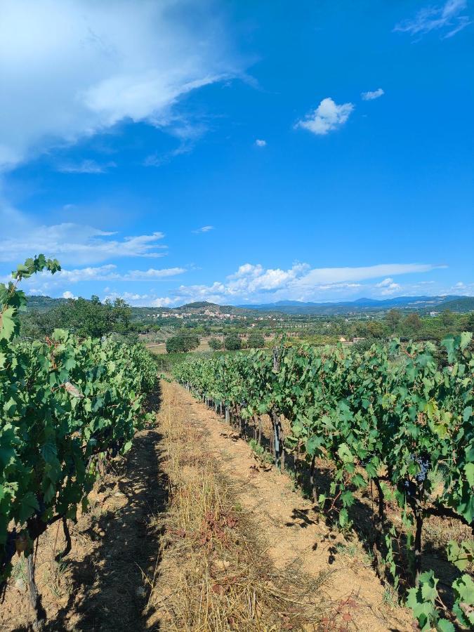 סוברטו Agriturismo Colle Vento מראה חיצוני תמונה
