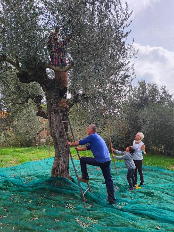 סוברטו Agriturismo Colle Vento מראה חיצוני תמונה