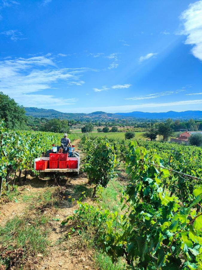 סוברטו Agriturismo Colle Vento מראה חיצוני תמונה