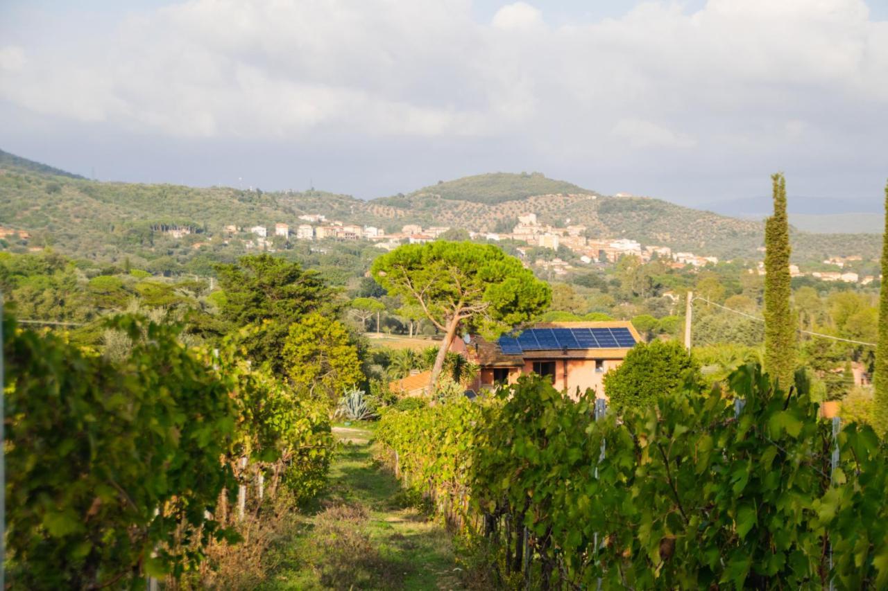 סוברטו Agriturismo Colle Vento מראה חיצוני תמונה